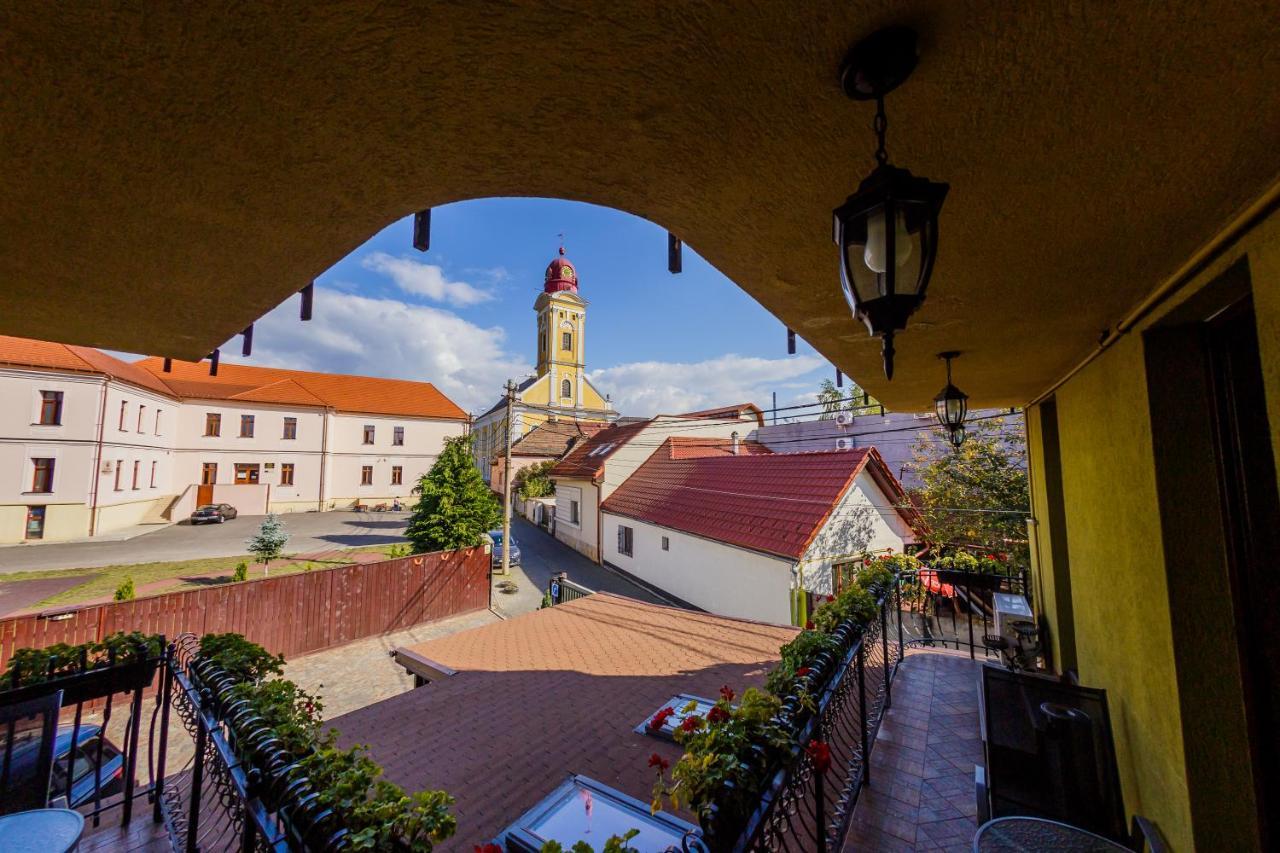 Pensiunea Ideal Бая-Маре Экстерьер фото